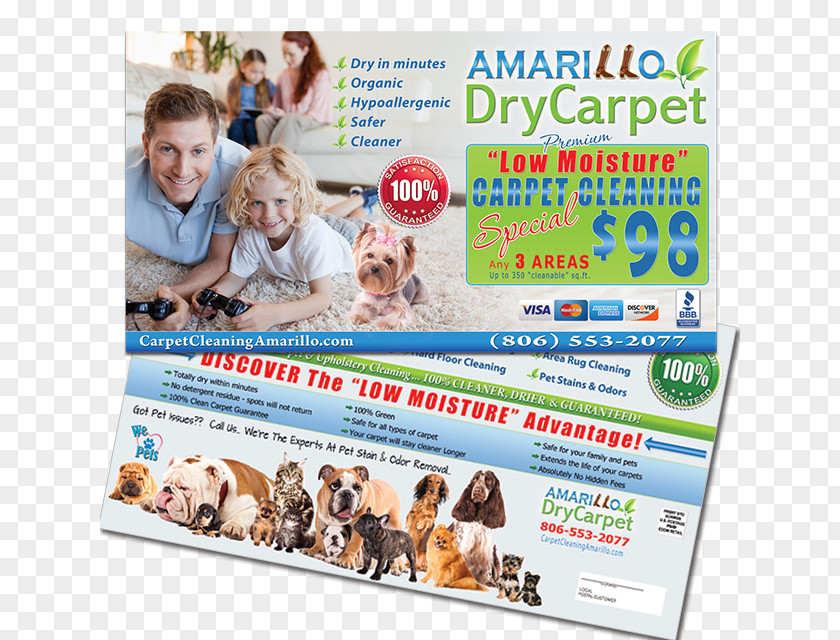 Marketing Card Amarillo DryCarpet Services Product Dry Carpet Cleaning Advertising PNG