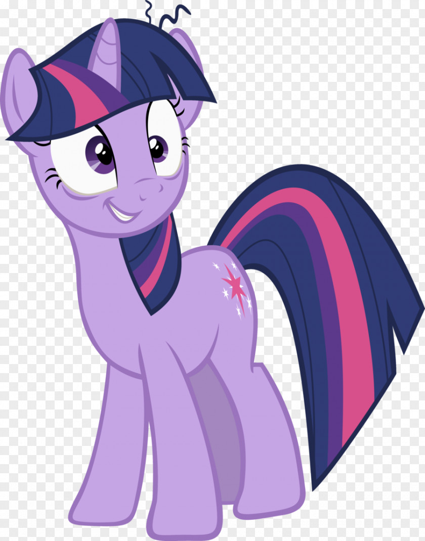 My Little Pony Twilight Sparkle Pinkie Pie Sunset Shimmer Princess Celestia PNG