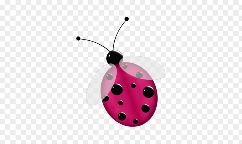 Borer Cartoon Ladybird Beetle Image Insect Drawing Painting PNG