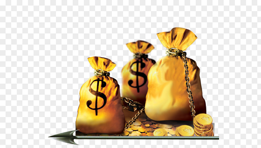 Gold Bag Money Loan PNG