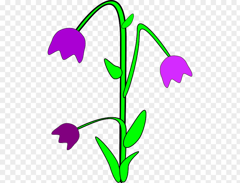 Purple Flower Rain Wellington Boot Clip Art PNG