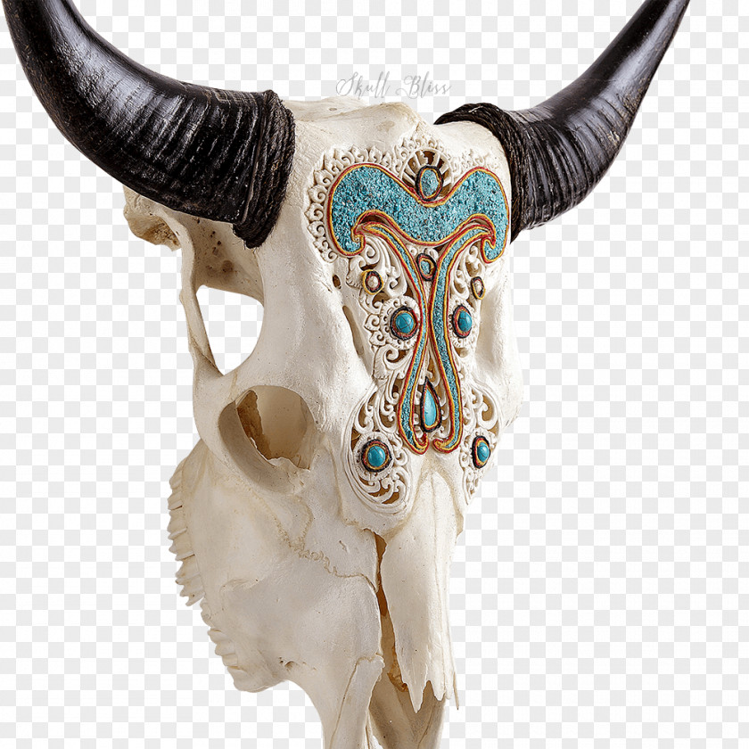 Skull Cattle XL Horns Turquoise Angel PNG