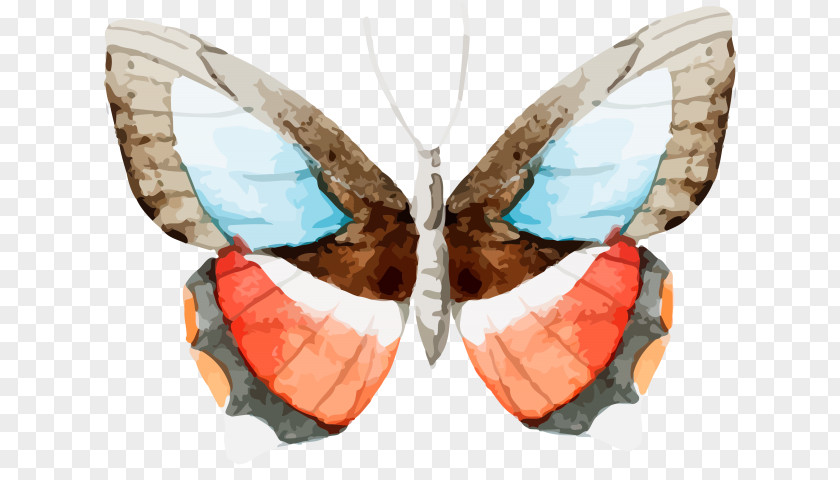 Watercolor Butterfly Hand Painted Vector Graphics Stock Photography Painting Greeting & Note Cards Shutterstock PNG