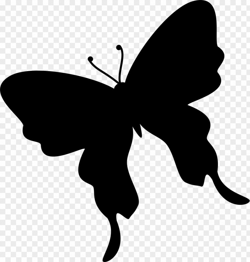 Butterfly Insect Silhouette Moth PNG