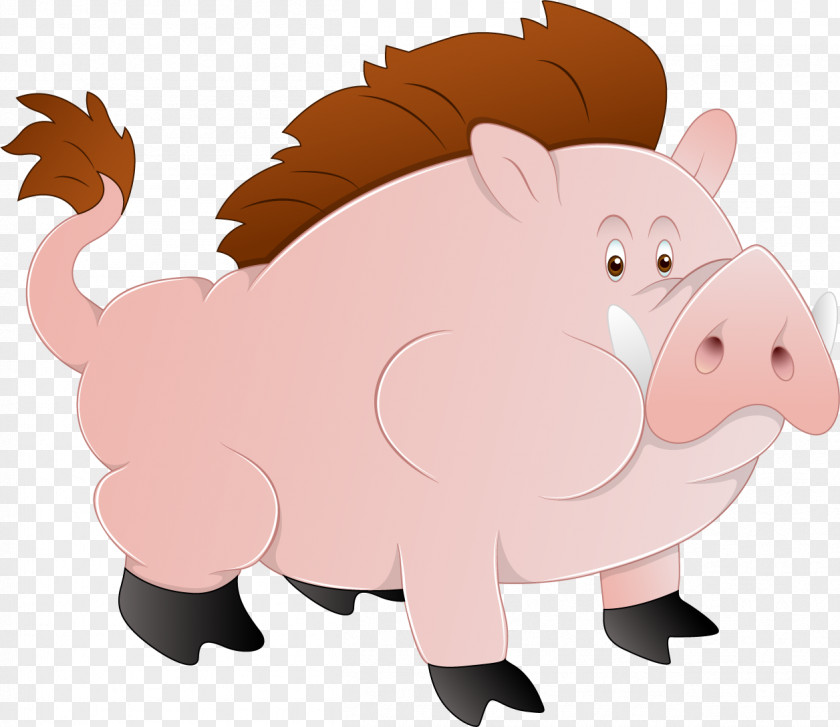 Cartoon Wild Boar Domestic Pig Euclidean Vector Illustration PNG