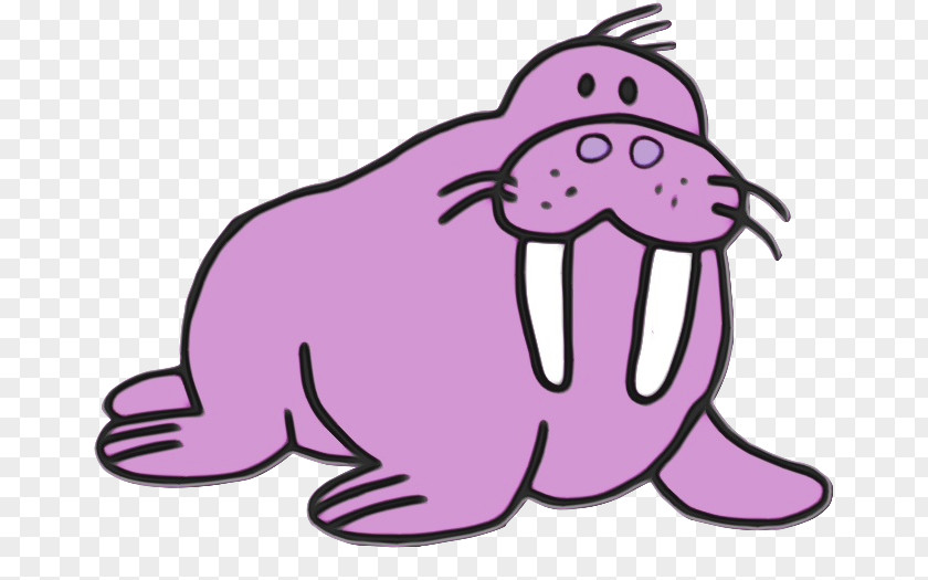 Seal Walrus Cartoon Pink Earless PNG