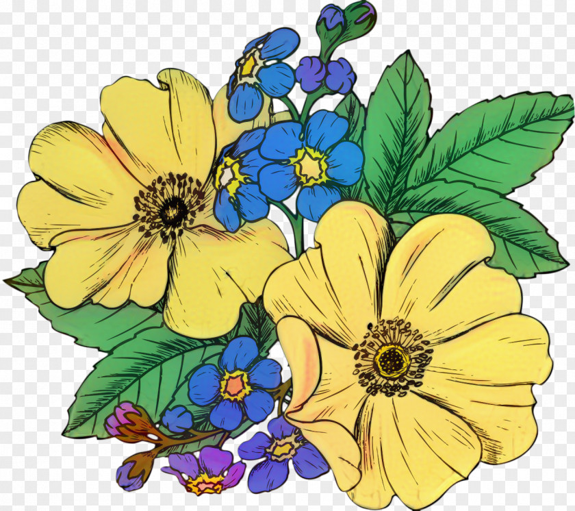 Sunflower Wildflower Floral Petal PNG