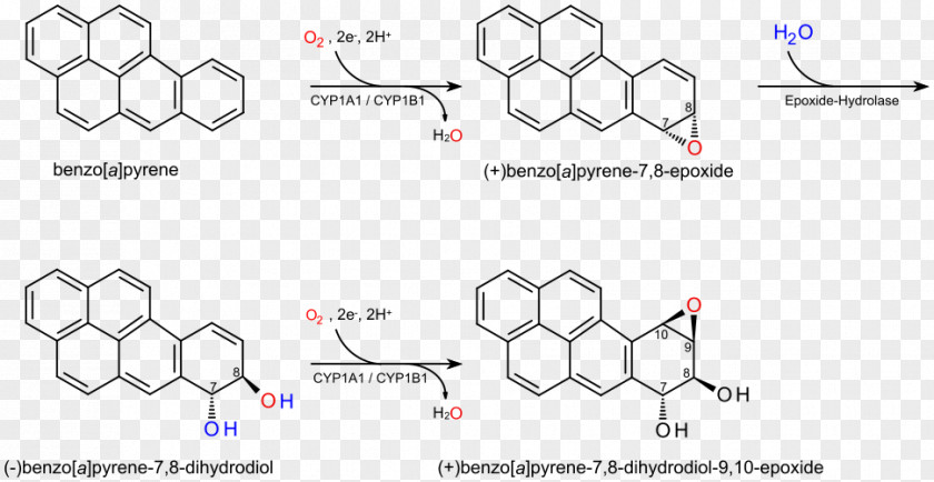 Benzo[a]pyrene Enantiomer Chemistry Carcinogen Polycyclic Aromatic Hydrocarbon PNG