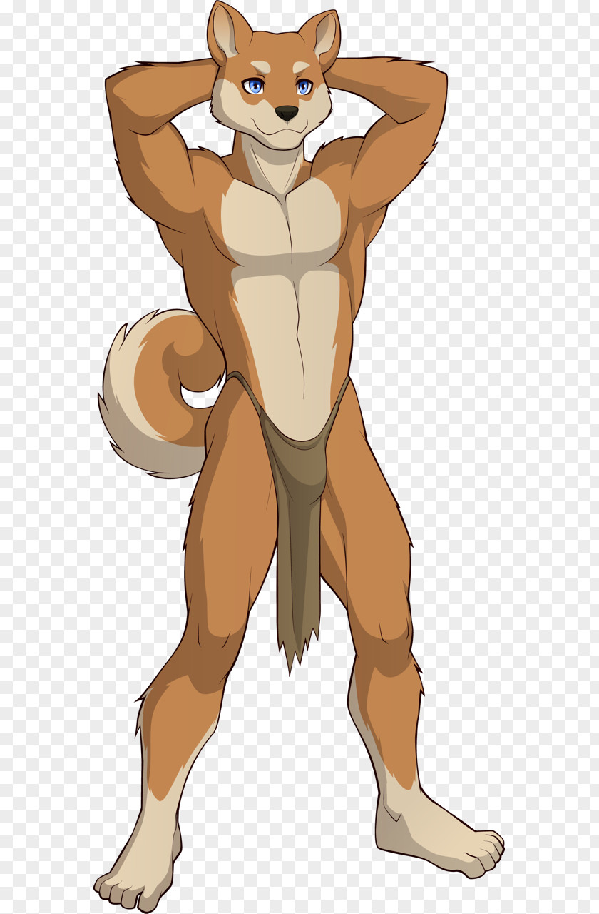 Lion Red Fox Boy Loincloth Fur PNG