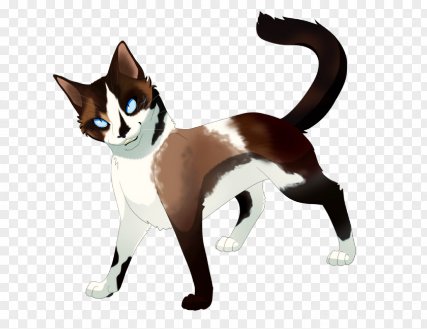 Siamese Whiskers Domestic Short-haired Cat Kitten Tail PNG