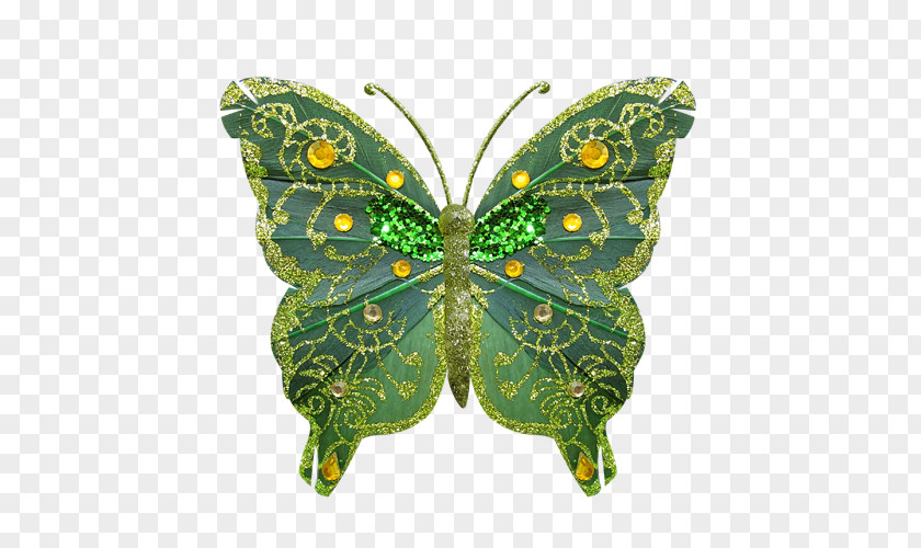 Butterfly Monarch Pieridae Moth Bird PNG