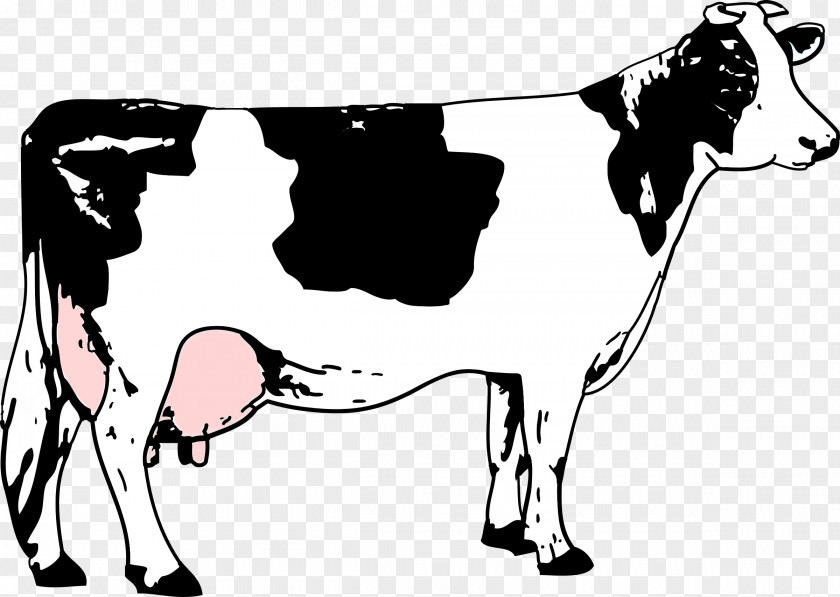 Cow Holstein Friesian Cattle Beef Black And White Dairy Clip Art PNG