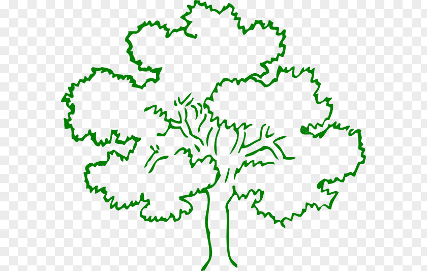 Oak Tree Cartoon Black And White Drawing Clip Art PNG