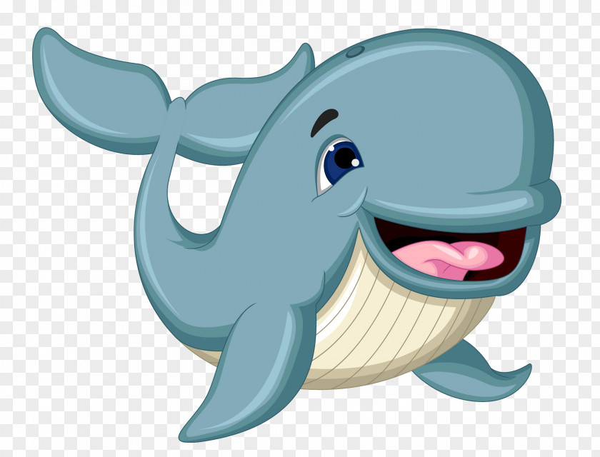 3d Mural Cetacea Cartoon Clip Art PNG