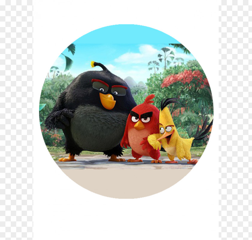 Angry Birds Hollywood Film Video Game Cinema PNG