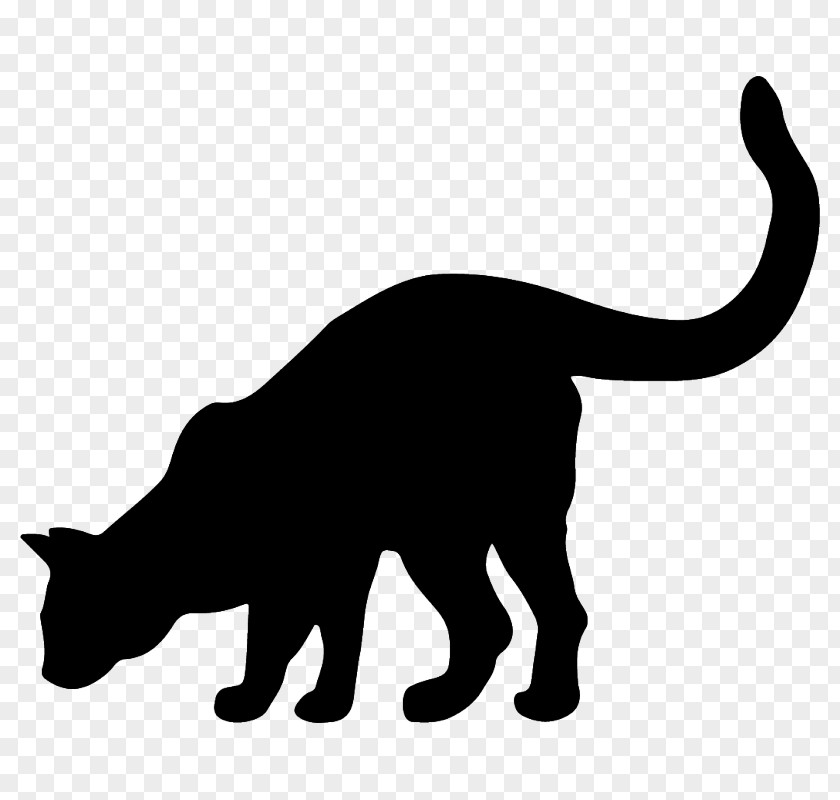 Cat Whiskers Black Wildcat Domestic Short-haired PNG