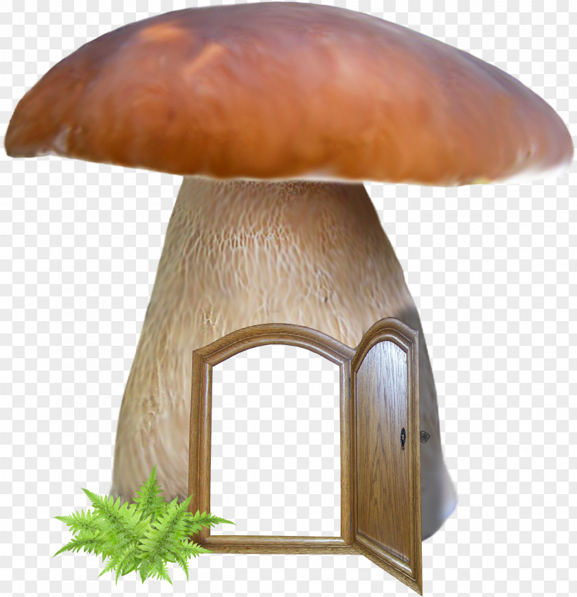 Fungus Agaricus Mushroom Penny Bun Edible Bolete Agaricomycetes PNG