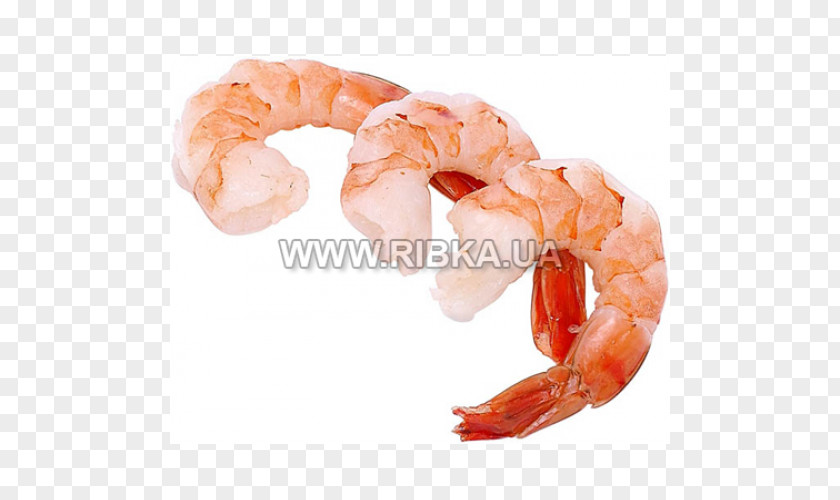 Shrimp Prawn Cocktail And As Food Lobster Clip Art PNG