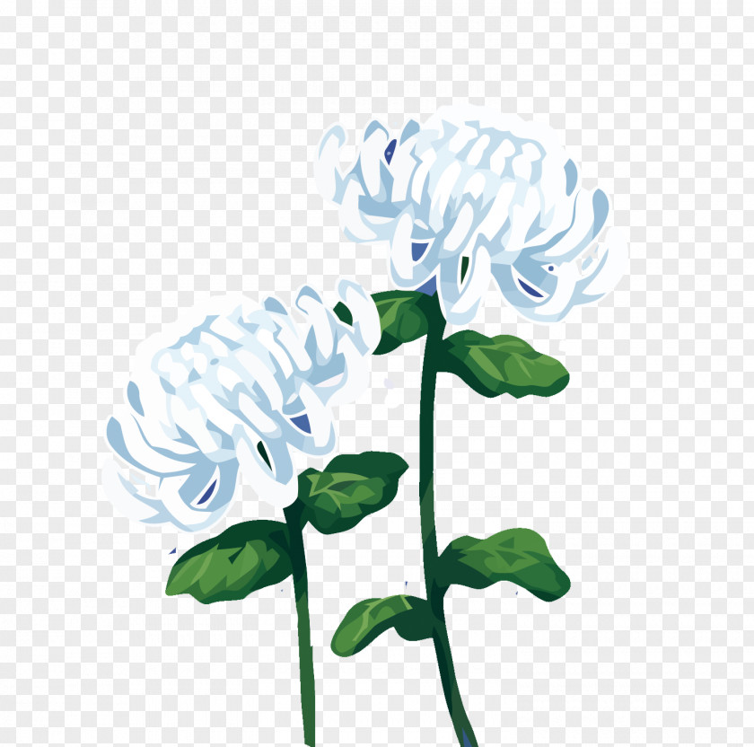 Vector Chrysanthemum Floral Design Watercolor Painting PNG