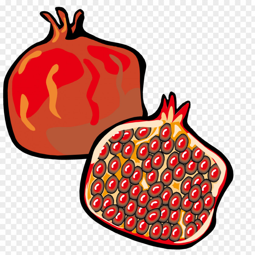 Vector Pomegranate Fruit Juice Auglis Clip Art PNG