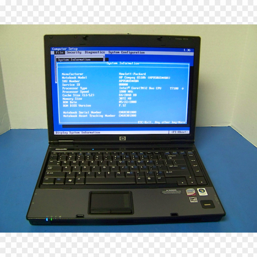 Working On Laptop Netbook Hewlett-Packard Computer Hardware Personal PNG