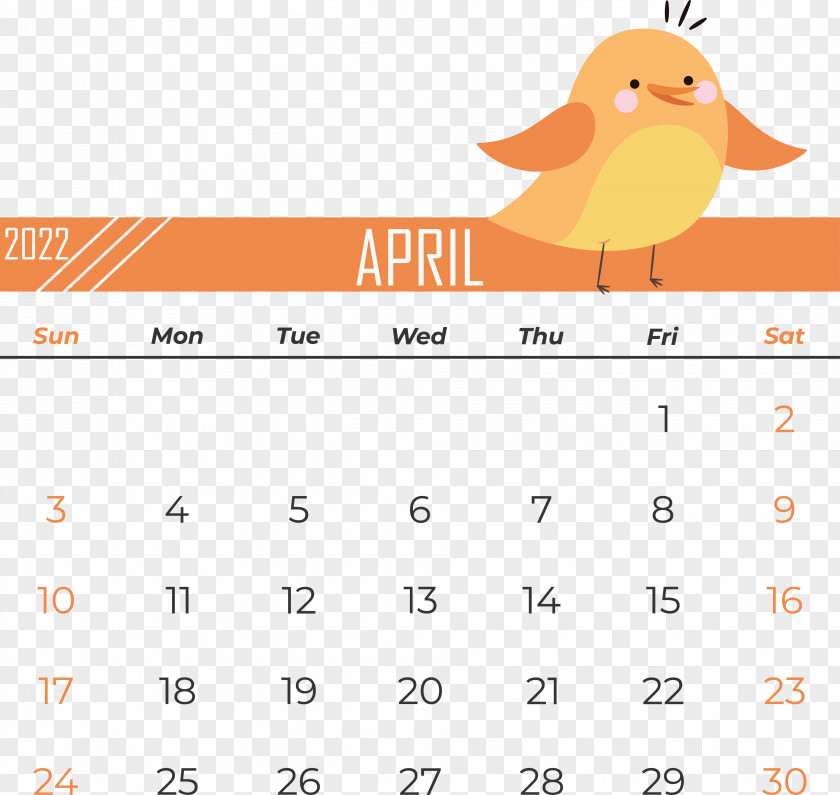 Birds Cartoon Line Beak Calendar PNG