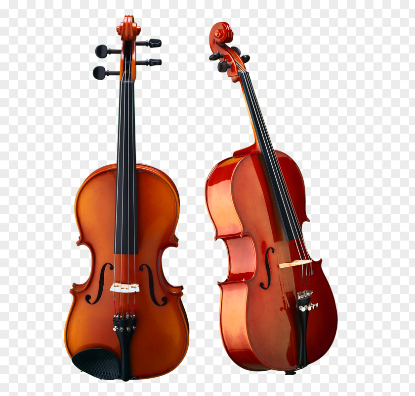 Instrument Electric Violin Musical Instruments String PNG
