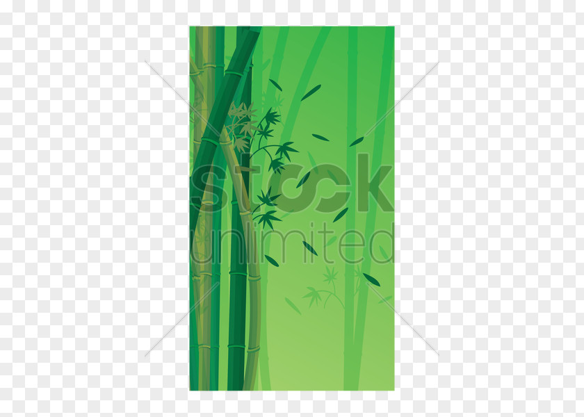 Leaf Stock Photography Rectangle PNG