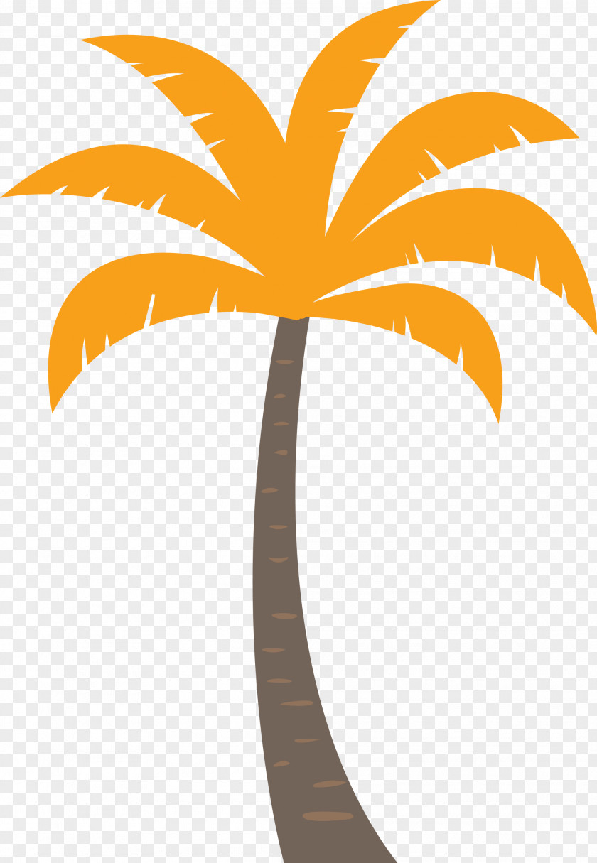 Palm Trees PNG