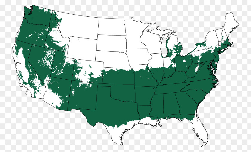 Tree Hardiness Zone Plants Evergreen PNG