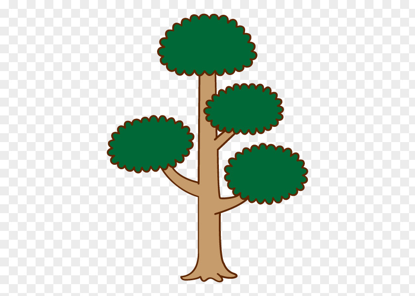 Tree Illustration Plants Leaf Root PNG