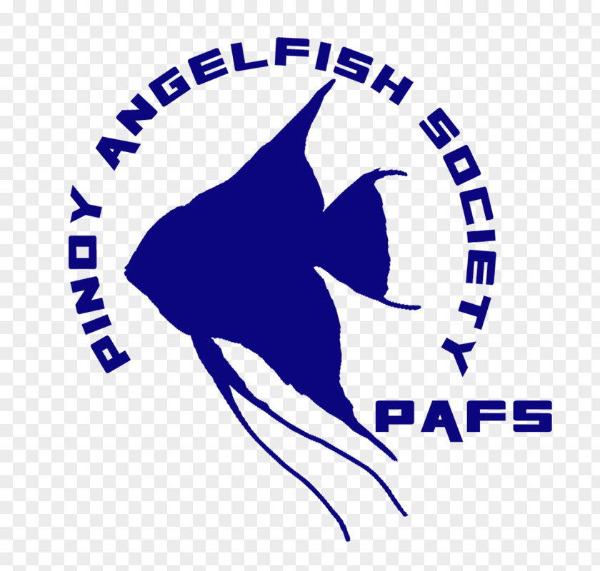 Angelfish Pinoy Freshwater Philippines Logo Fin PNG