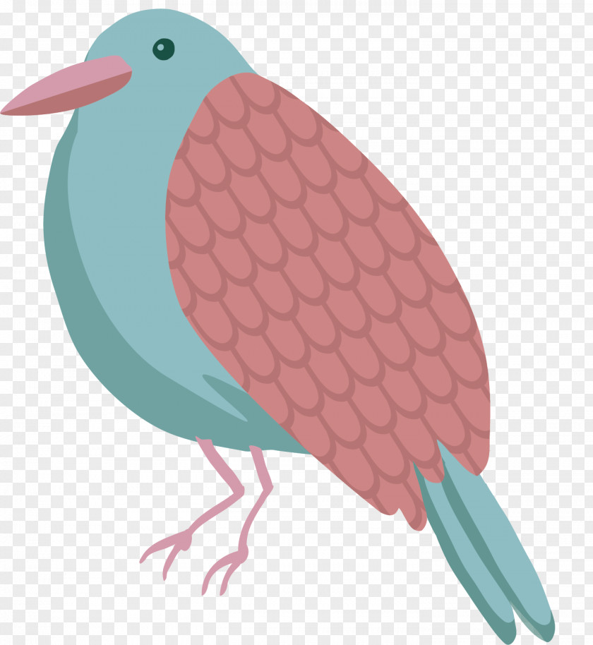 Cartoon Animal Parrot Vector Illustration PNG