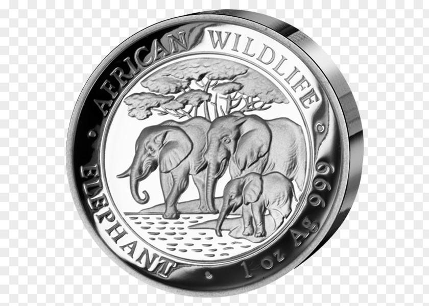 Coin Elephantidae African Elephant Silver Somalia PNG