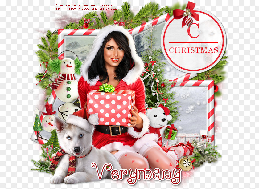 Dog Christmas Ornament Breed Buon Natale Stockings PNG