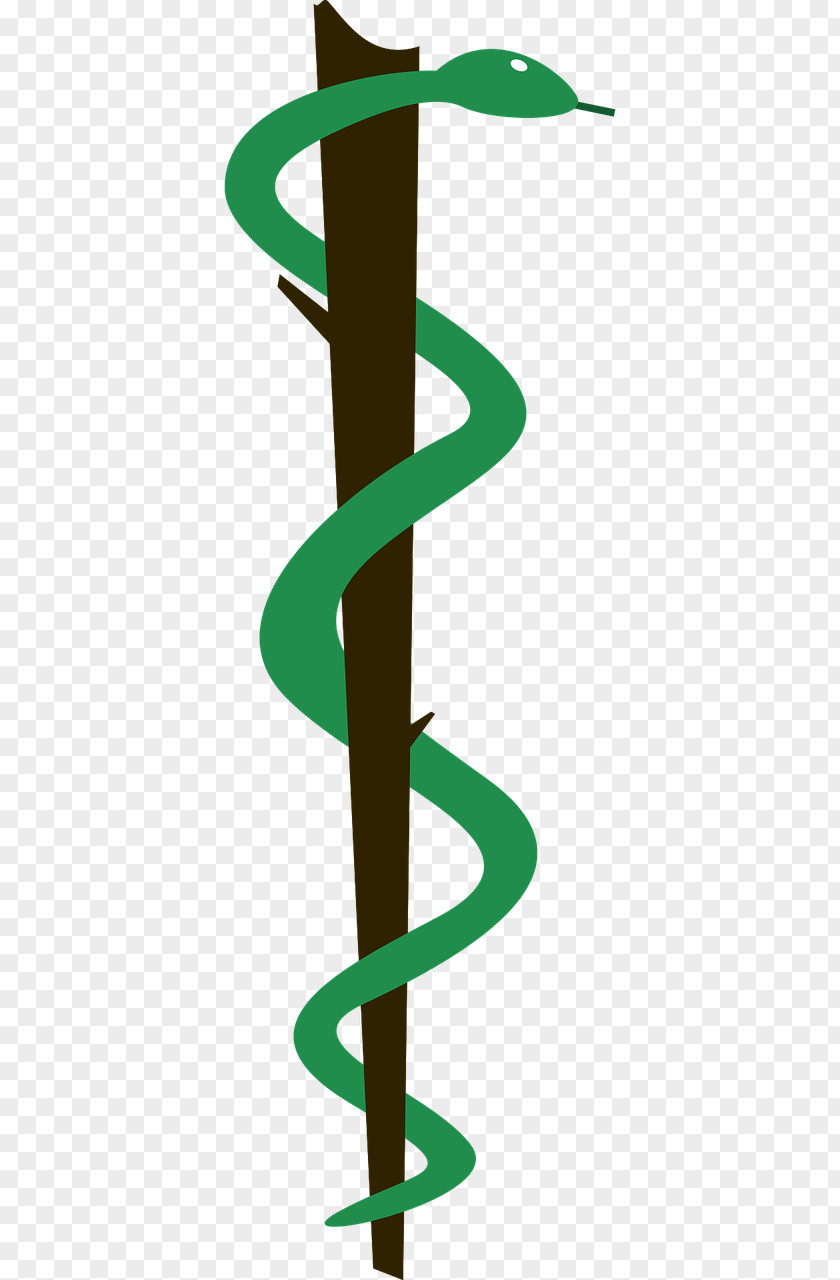 Green Snake Lithuanian University Of Health Sciences Medicine Symbol PNG
