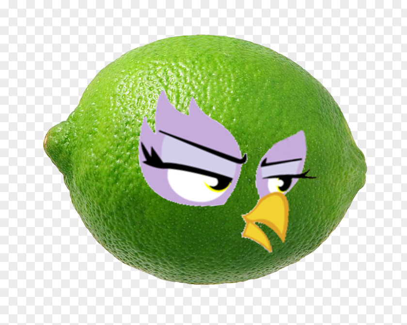 Lime Kiwifruit Key Lemon PNG