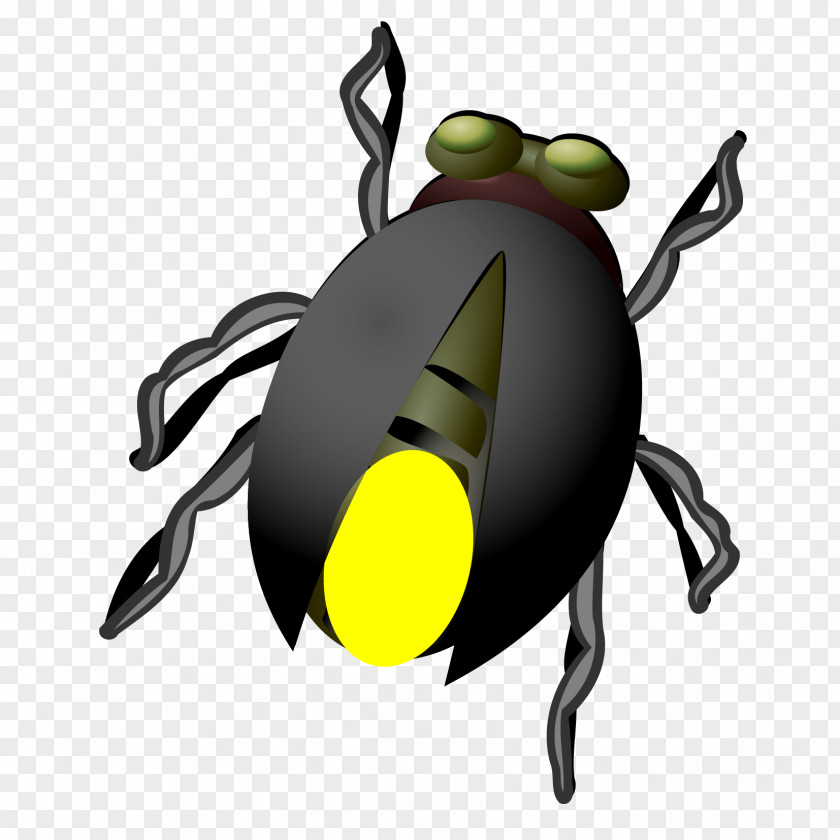 Lovely Firefly Download Beetle Clip Art PNG