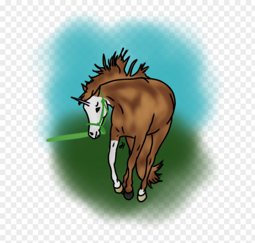 Mustang Mane Foal Stallion Colt PNG