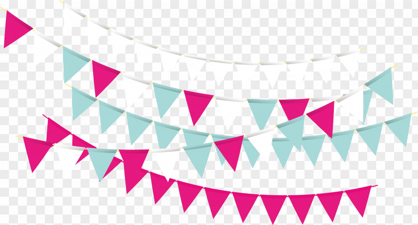 Party Triangle Bunting PNG