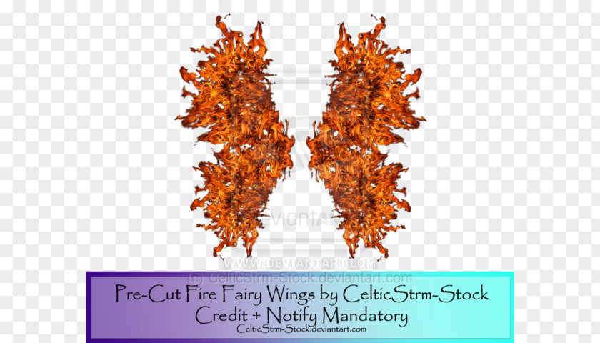 Wings Fairy Art Stock Image Illustration PNG