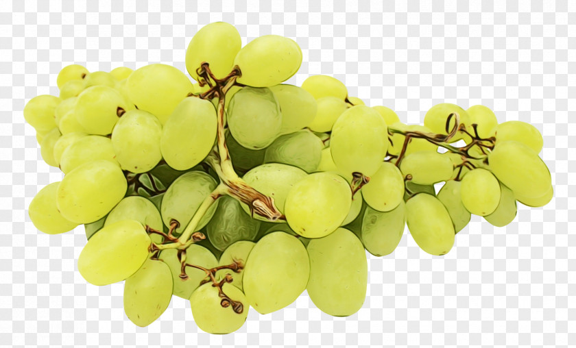 Barberry Family Vitis Fresh Juice PNG