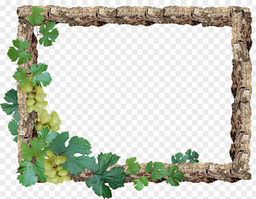Border RUSTIC Picture Frames Photography PNG