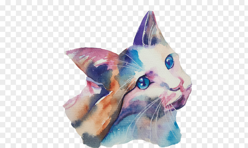Free Hand Drawing Cat Avatar Pull Material Whiskers Tabby Kitten Domestic Short-haired PNG