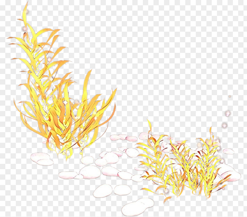 Grass Plant Yellow Family PNG