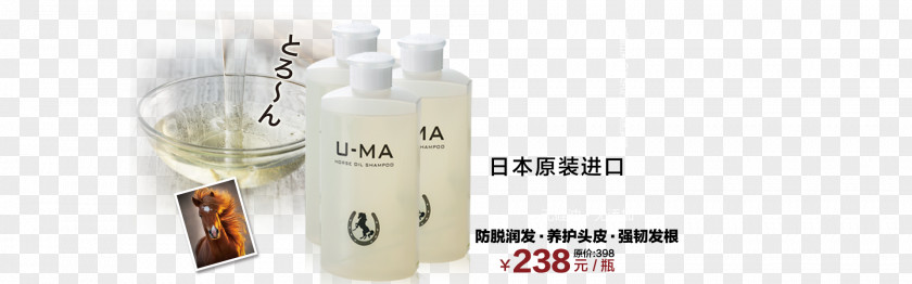 Japan Imported Original Shampoo Import Glass Bottle PNG