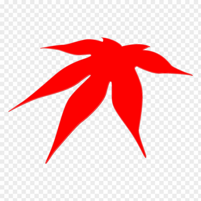 Logo Tree Red Leaf Plant PNG