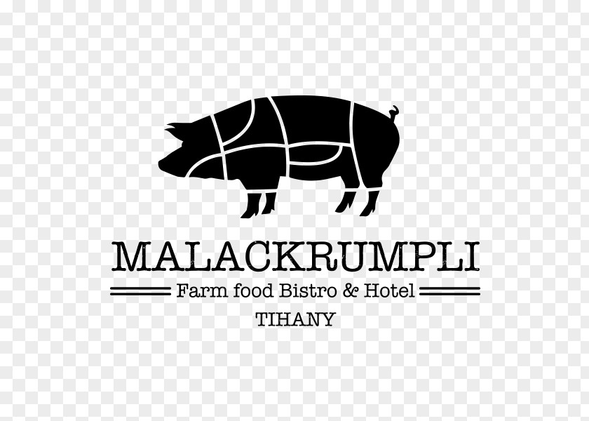 Pig Domestic Malackrumpli Buda Stock Photography PNG