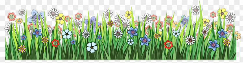 Plant Grass Flower Family Wildflower PNG