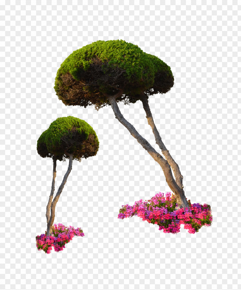 Plant Landscape Architecture Rendering PNG